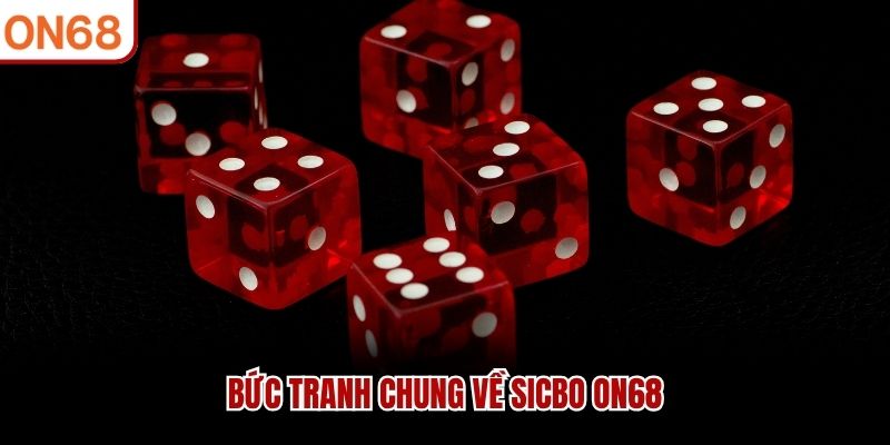 Bức tranh chung về Sicbo ON68