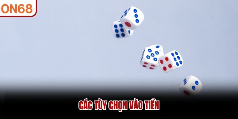 Các tùy chọn vào tiền
