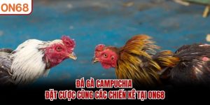 Đá gà Campuchia