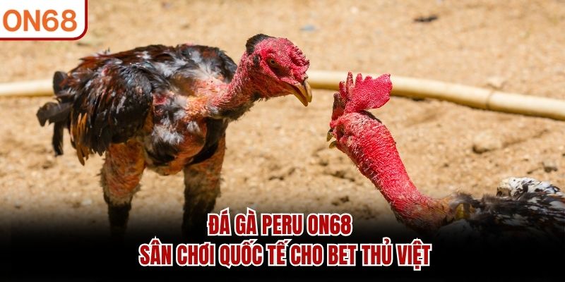 Đá Gà Peru