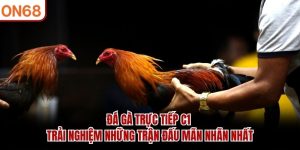 Đá Gà Trực Tiếp C1