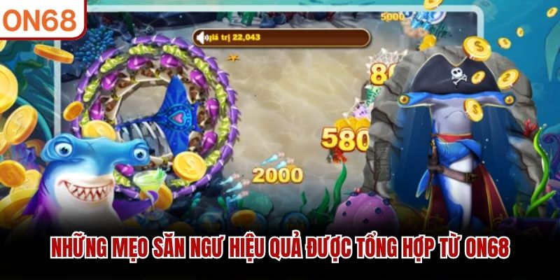 Những mẹo săn ngư hiệu quả được tổng hợp từ ON68