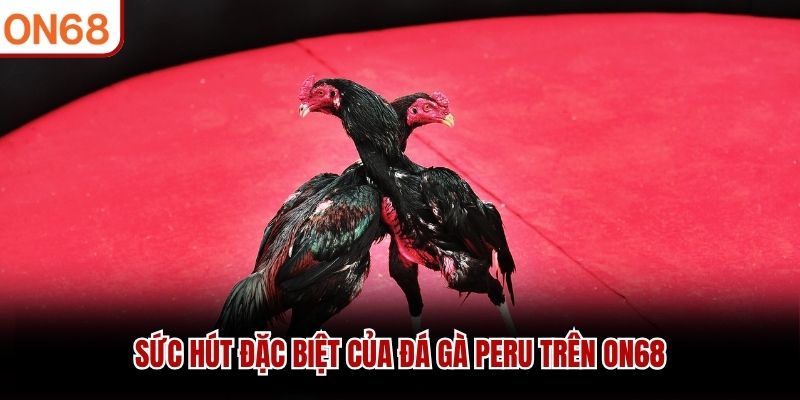 Sức hút đặc biệt của đá gà Peru trên ON68