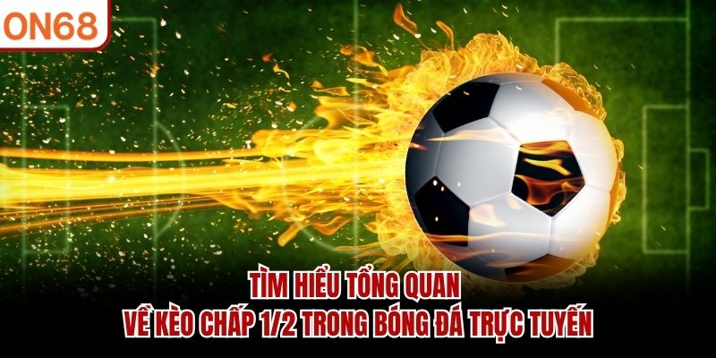 Tìm hiểu tổng quan về kèo chấp 1/2 trong bóng đá trực tuyến
