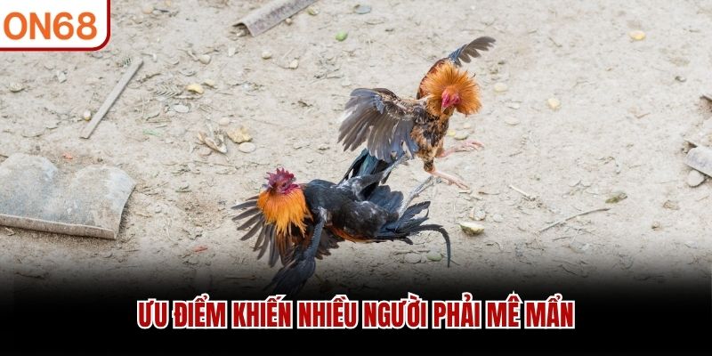 Ưu điểm khiến nhiều người phải mê mẩn