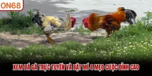 Xem Đá Gà Trực Tuyến